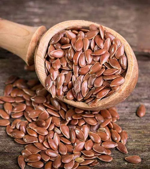 SEMENTE DE LINHAÇA MARROM 100g